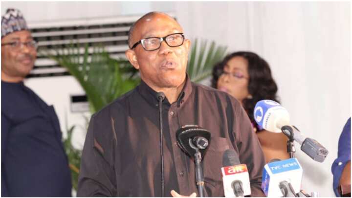 Presidency: Fresh Details Emerge as Peter Obi Burst Into Tears - Legit.ng