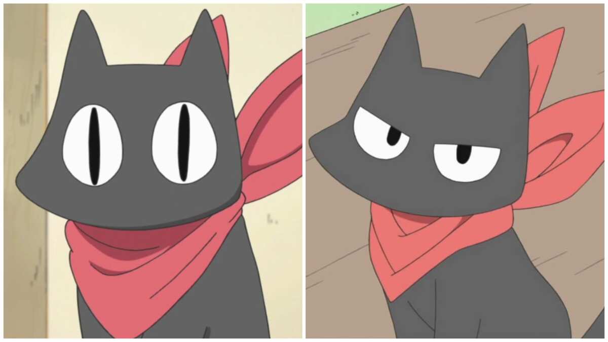 33 cutest anime cats most popular kitties from films and shows  Legitng