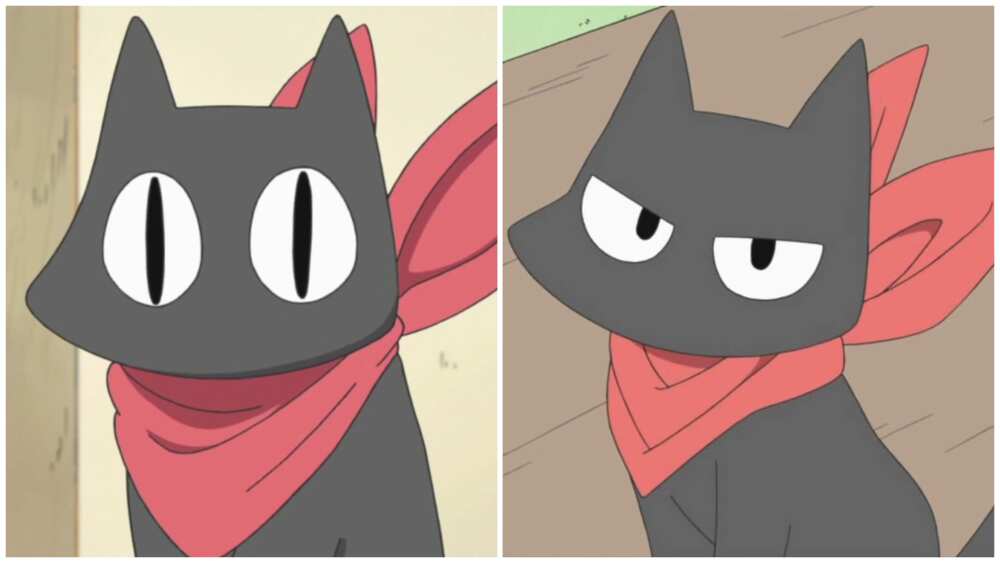 famous anime cats