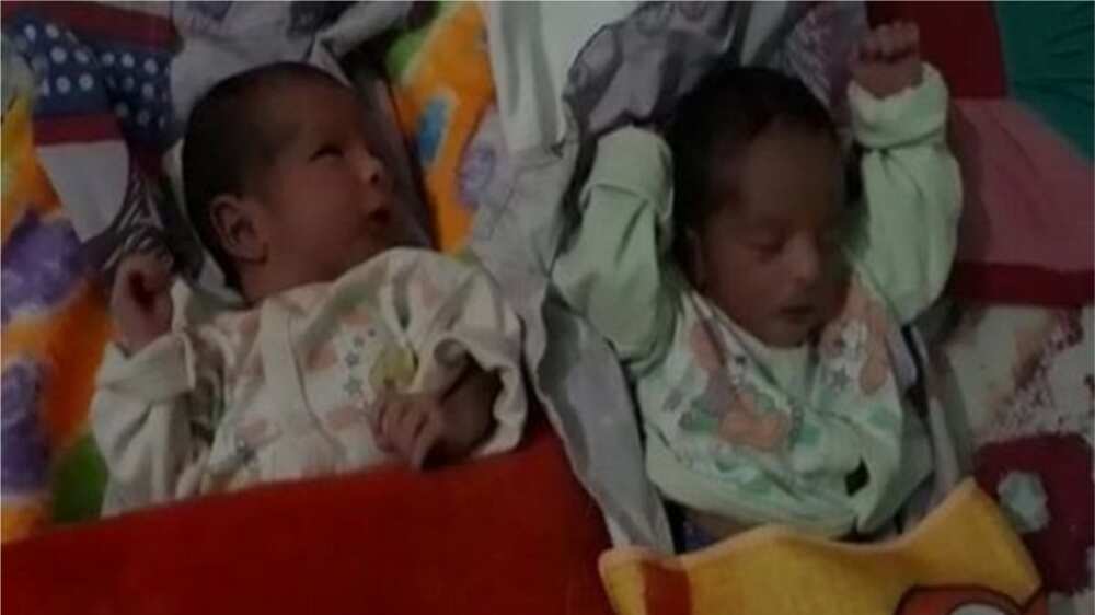 A picture of the newborn twins. Photo source: Gulf News