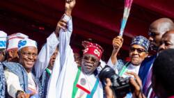 Why Nigerian youths will thrive under Tinubu, Onjeh gives reasons