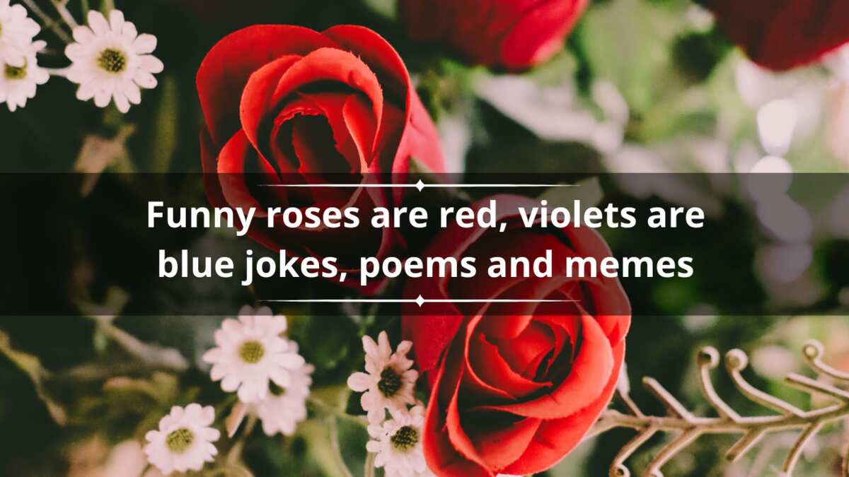 50 Funny Roses Are Red Violets