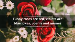 50+ funny roses are red, violets are blue jokes, poems and memes