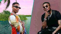 Wizkid describes his new kind of music, insults his fans, many react: "Him dey talk rubbish"