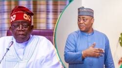 Why you should lift sanctions imposed on Niger Republic, Fani-Kayode sends strong message to Tinubu
