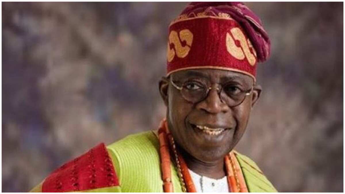 2023: Prominent Northern group declares support for Tinubu, urges parties to adopt him as sole candidate