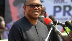 Sarcasm or confession? Buhari's ex-aide says Obi's name is everywhere, concludes he has won 2023 poll