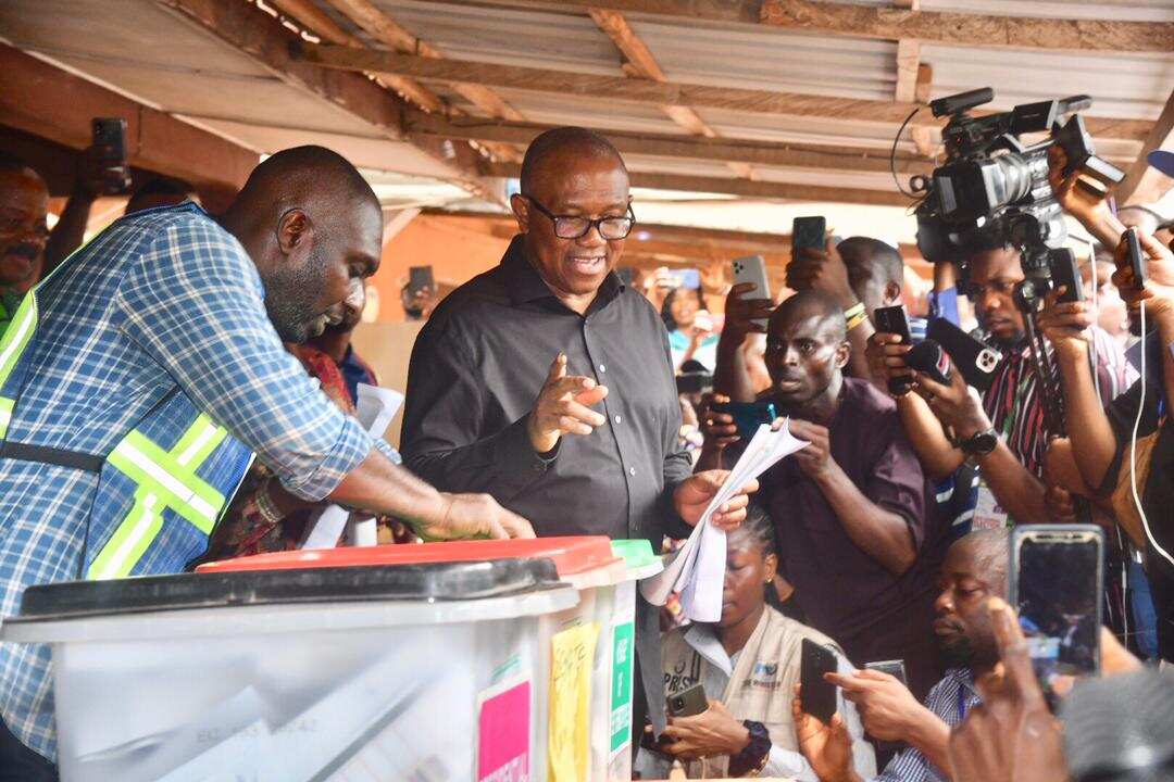 2023 presidential election: How many states did Peter Obi win? Check latest updates