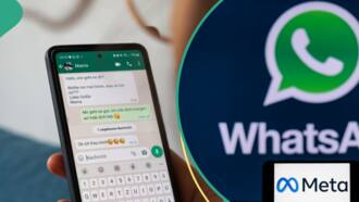 WhatsApp introduces new feature, works as personal assistant to users