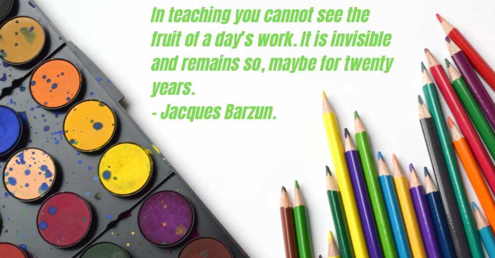 teacher quote