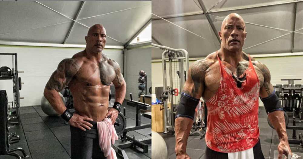 The Rock insisted he will not work with Vin Diesel.