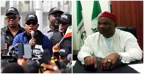 Uzodinma says Igbo leaders in PDP are trying to overthrow Buhari’s government