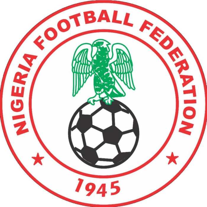 Super Eagles - Nigeria National Football Team News at Legit.ng