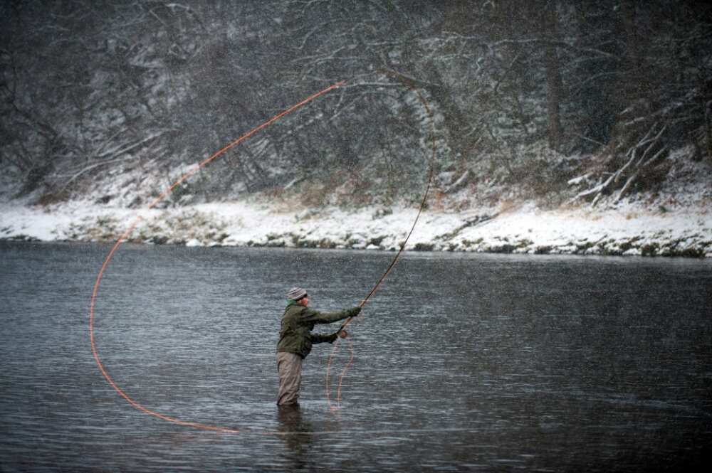 Anglers on the River Spey in the Scottish Highlands say salmon numbers are down compared to 50 years ago