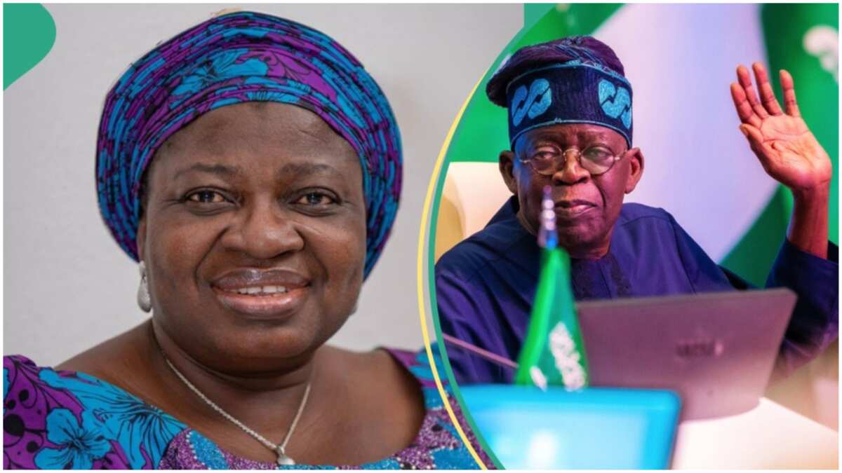 Tension in Tinubu's government as EFCC quizzes another top member
