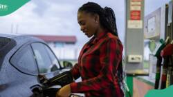 “Heart of Gold”: Philanthropists crash petrol price to N430/litre for Okada, Keke Riders in Borno