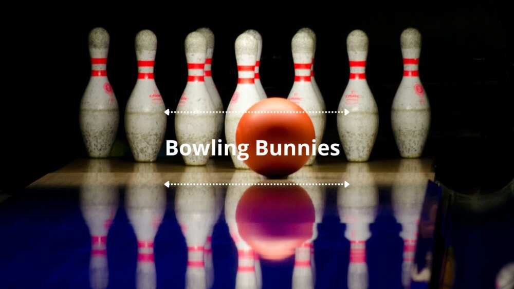 Hilarious bowling team names