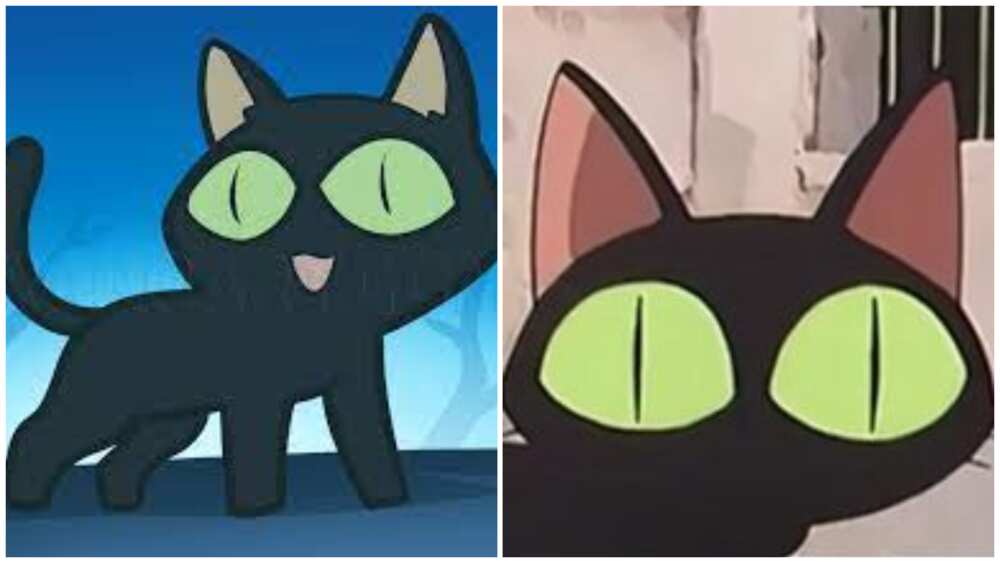 33 cutest anime cats: most popular kitties from films and shows 