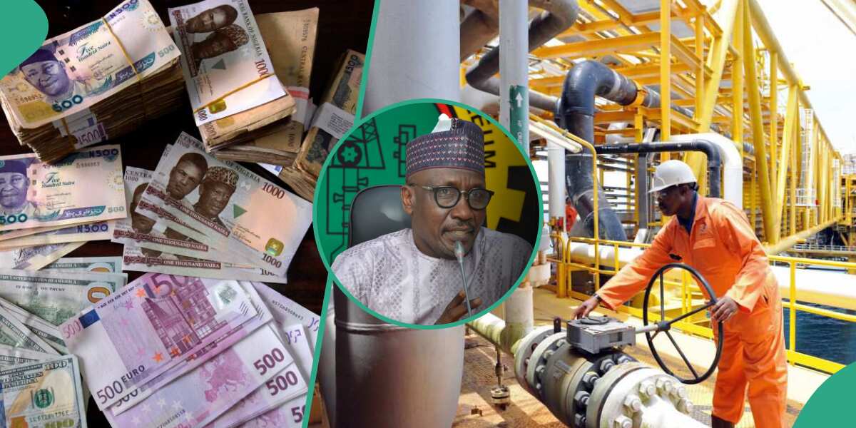 Boost For Naira As Nigeria Retains Position As Africa's Biggest Oil ...