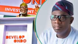"He has a better chance": Yoruba chieftain predicts who may win Ondo 2024 governorship election