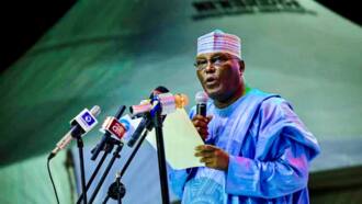 Breaking: Atiku declared winner in 11 of 18 LGAs in Ondo state