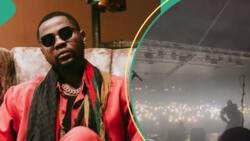 Kizz Daniel brags after he made crowd go wild just by coughing: "No let pride enter this thing"