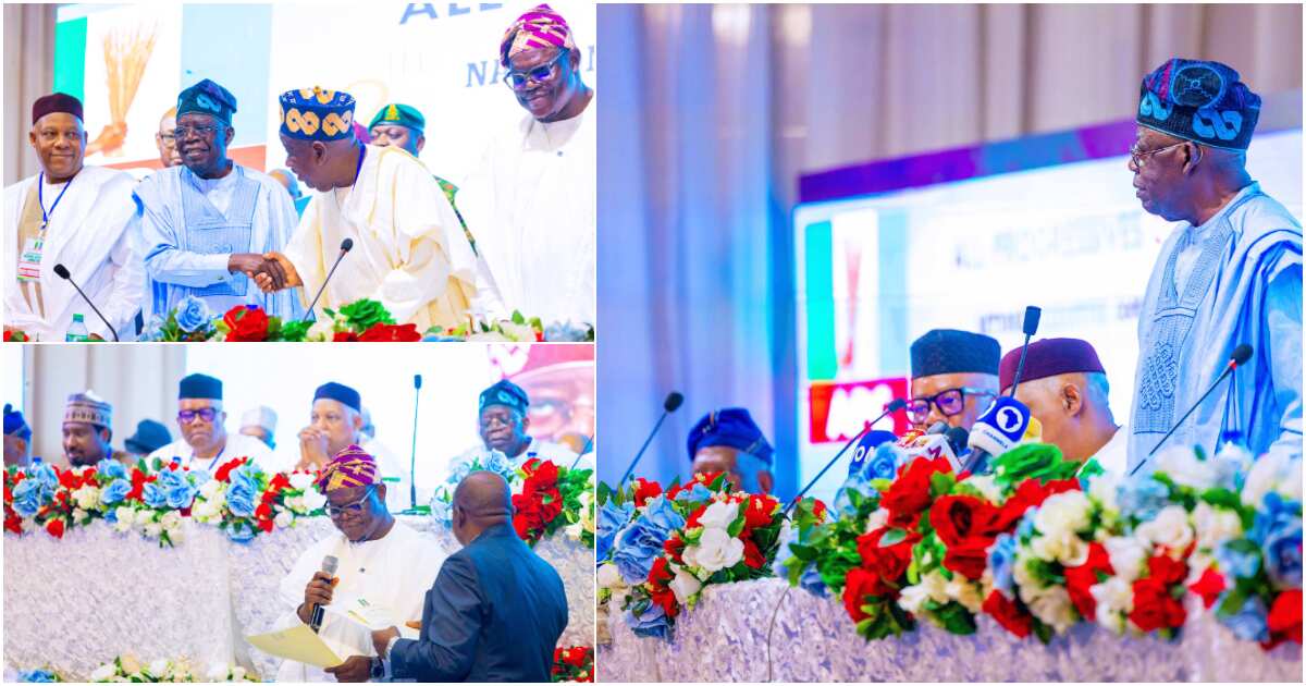 Tinubu, Shettima, Akpabio Attend APC’s NEC Meeting As Ganduje Elected ...