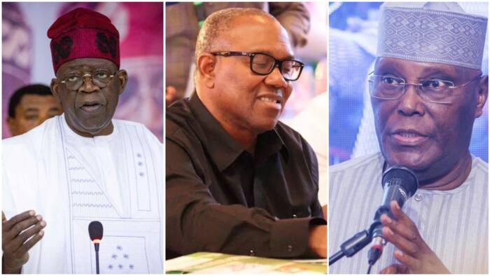 BREAKING: Atiku, Tinubu or Peter Obi? Bloomberg Poll predicts winner of Nigeria's 2023 presidential election
