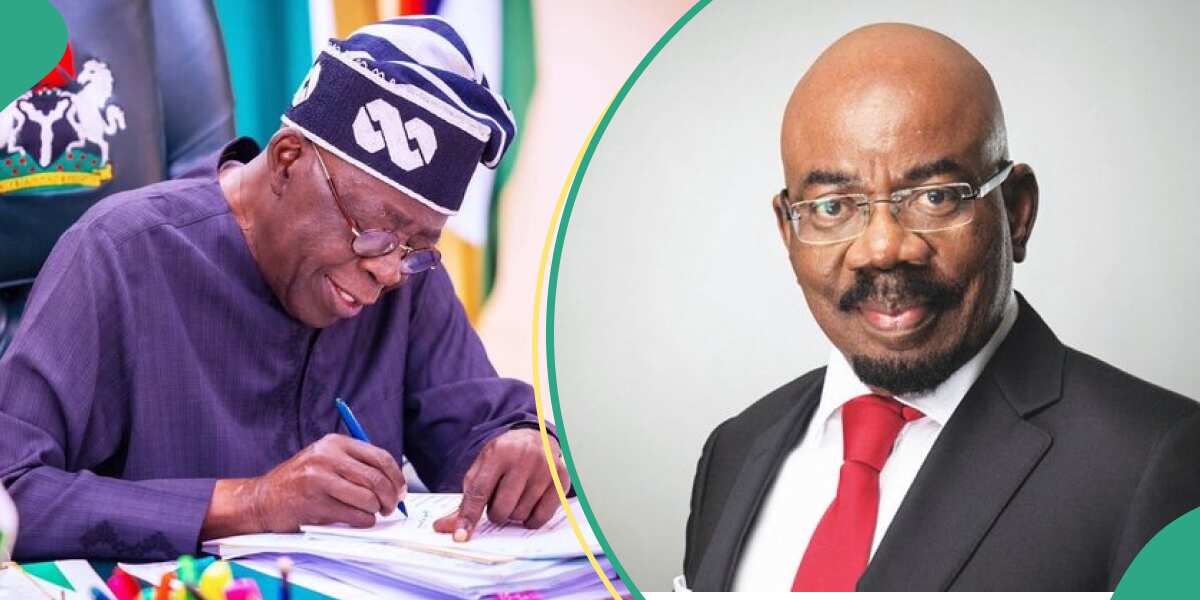 Breaking: Details emerge as President Tinubu appoints Jim Ovia as chairman of NEFUND
