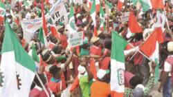 May Day, Workers Day: What it means, how it started, all you need to know