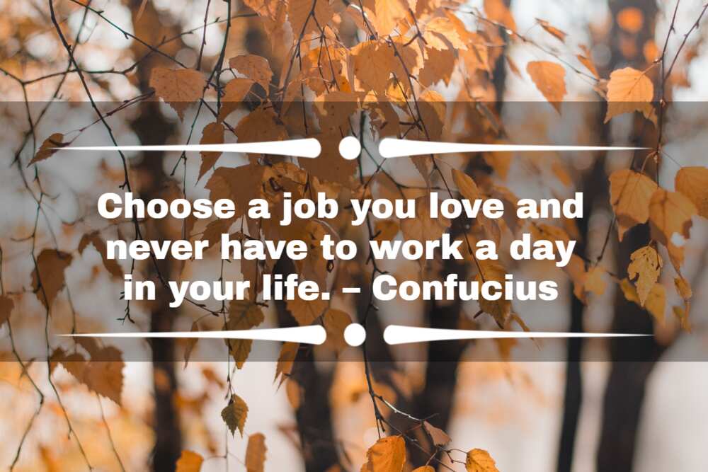 Inspirational quotes about new job Inspirational quotes about new job