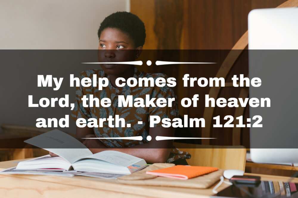 bible verse about study bible verse about study