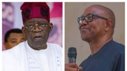 ‘Be careful’: Tinubu issues stern warning to Obi over malicious information