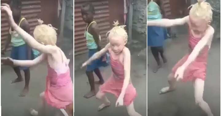 Albino dance, competition