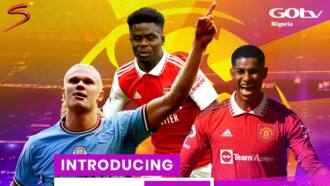 5 reasons why the 2023/24 Premier League season is special for Nigerians