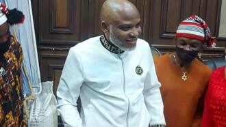 Fendi again: Drama as Nnamdi Kanu spotted in same dress, FG brings strong evidence to court