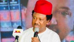 Farmers now pay terrorists to protect them from other terrorists in Kaduna, Shehu Sani says