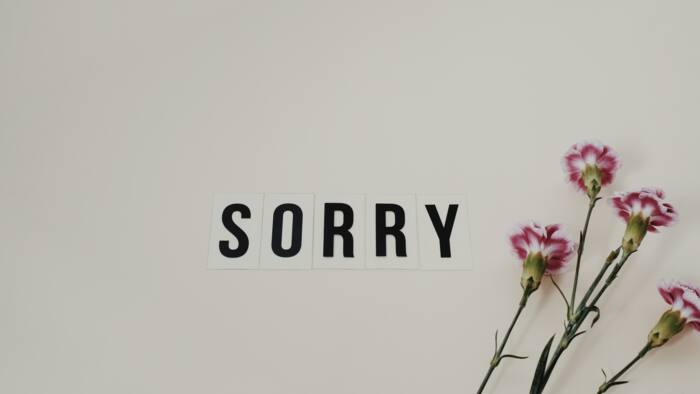50+ apology SMS for your girlfriend: I'm sorry messages for girlfriend