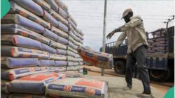 “Where is your N3k cement?”: Nigerians ask as FG summons BUA, Dangote, others over N15,000/bag of cement