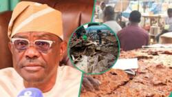 Wike-led FCTA demolishes popular ‘Kilishi’ market in Abuja, gives reason