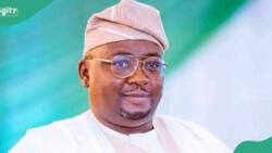 Power minister Bayo Adelabu promises to meter all households, fix national grid challenges