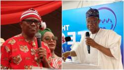 Why Peter Obi was silent on Datti Ahmed's statement against Tinubu's swearing-in, Labour Party chieftain reveals