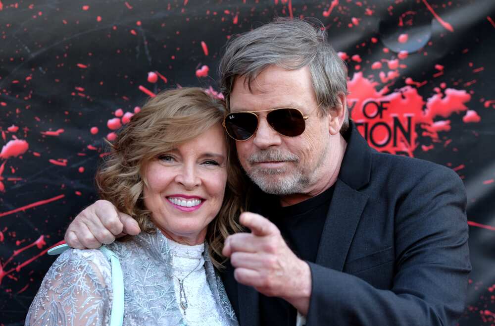 Mark Hamill and Marilou Hamill Love Story - How Mark Hamill Met Wife  Marilou York