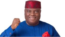 Big boost for PDP as 10 political parties collapse structure, endorse guber candidate in APC-controlled state