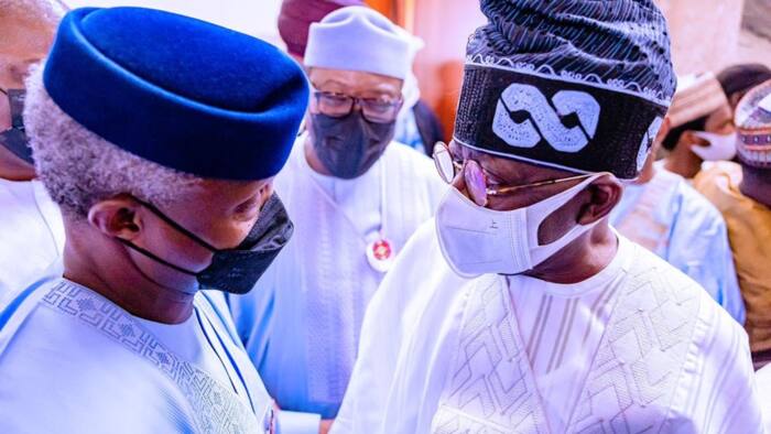 Bad news for Tinubu, Osinbajo: Powerful Yoruba leader backs southeast to produce next Nigerian president