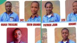 JAMB UTME results of 9 students from private school goes viral on internet due to their high scores
