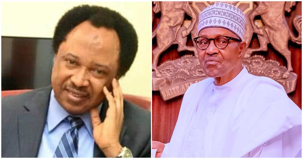 Shehu Sani CBN is the most fraudulent government institution under Buhari’s administration/ Most fraudulent government institution under Buhari’s administration