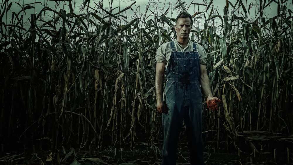 best murder mystery movies best murder mystery movies