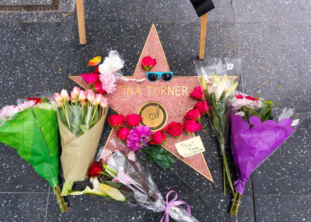 Hommages à Tina Turner