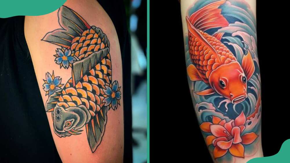 Koi fish traditional tattoo